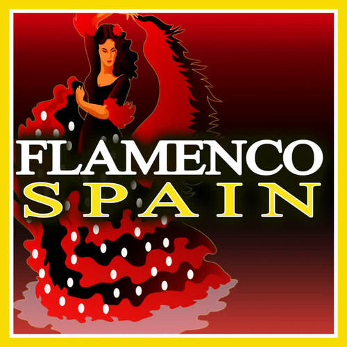 Flamenco Spain