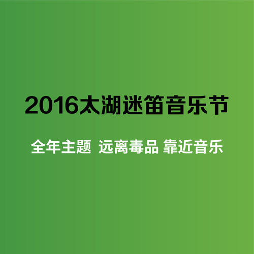 2016太湖迷笛音乐节