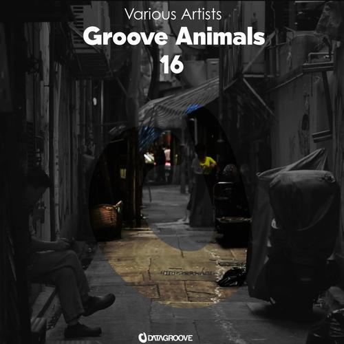 Groove Animals 16