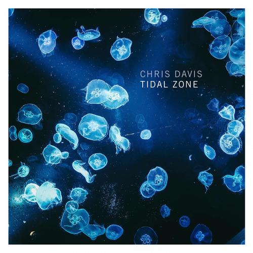 Tidal Zone