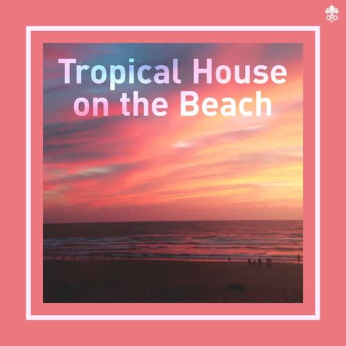 Tropical House on the Beach