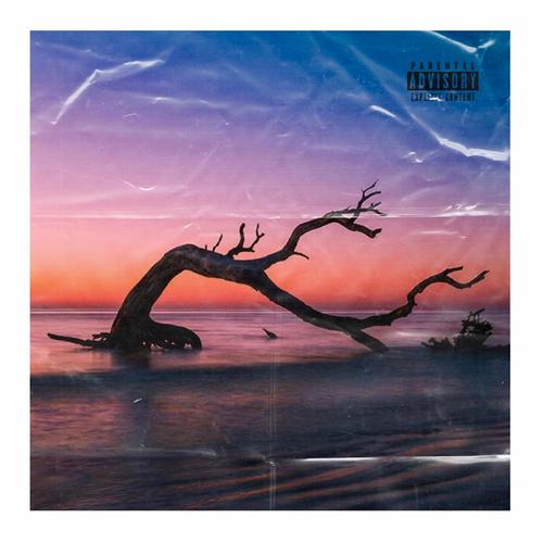 Driftwood (feat. J. Glaze) [Explicit]