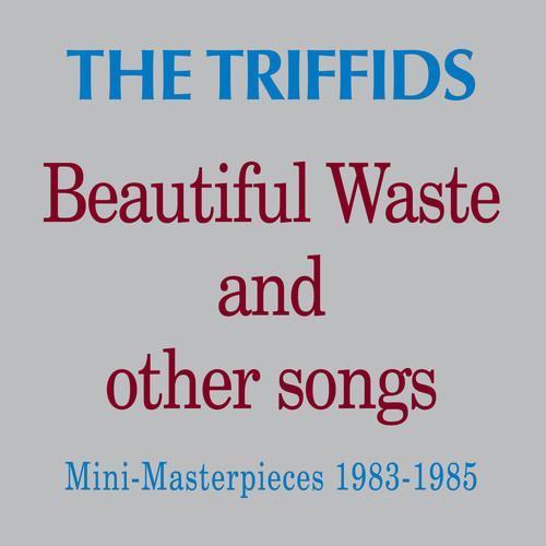 Beautiful Waste and Other Songs - Mini Masterpieces 1983 - 1985