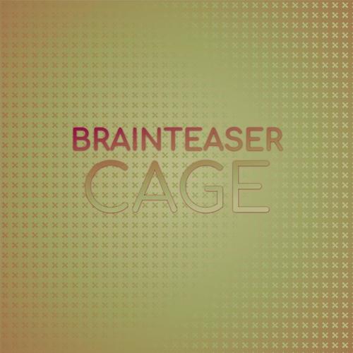 Brainteaser Cage