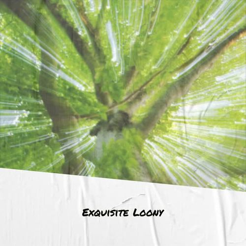 Exquisite Loony