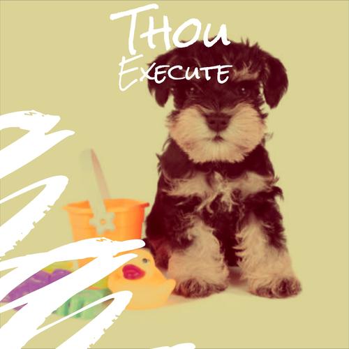 Thou Execute