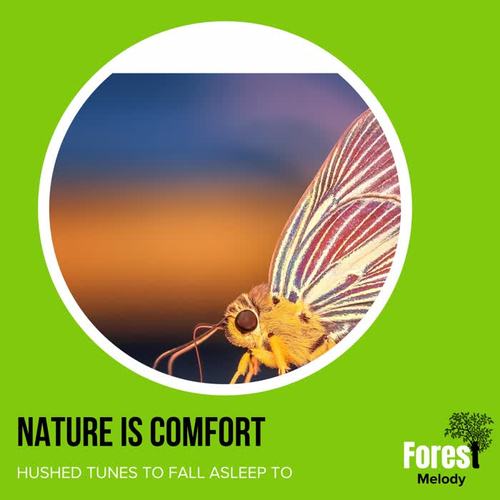 Nature is Comfort - Hushed Tunes to Fall Asleep To