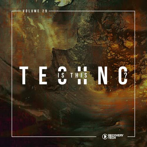 Is This Techno?, Vol. 29