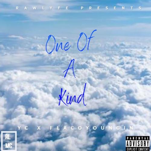 One Of A Kind (feat. Flacoyoungin) [Explicit]