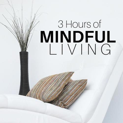 3 Hours of Mindful Living - Meditation Music Ensemble