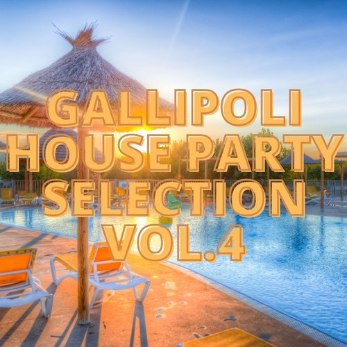 Gallipoli House Party Selection Vol.4