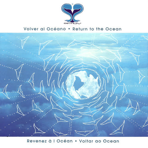 Volver al Océano