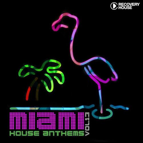 Miami House Anthems, Vol. 13