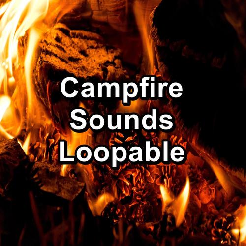 Campfire Sounds Loopable