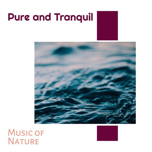 Pure and Tranquil - Music of Nature