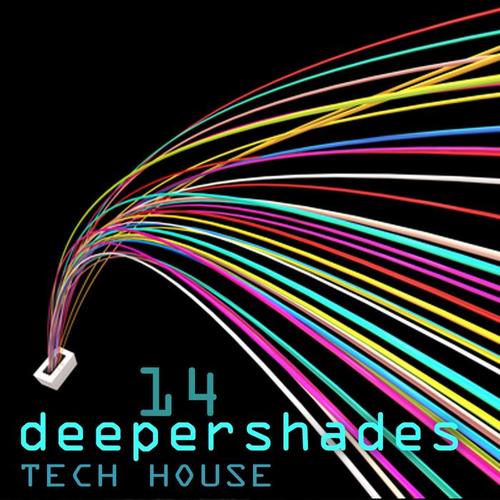 Deeper Shades Tech House 14