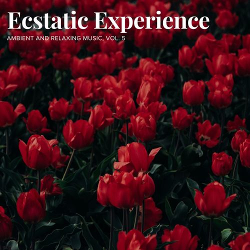 Ecstatic Experience - Ambient and Relaxing Music, Vol. 5