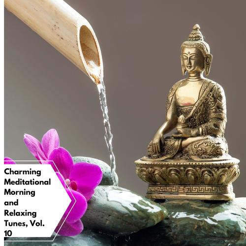 Charming Meditational Morning And Relaxing Tunes, Vol. 10