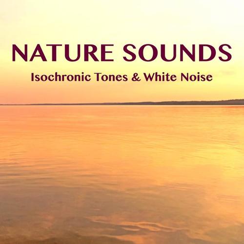 Nature Sounds with Binaural Beats, Isochronic Tones and White Noise for Relaxation, Yoga, Meditation & Sleep, Best Water Sounds & Nature Sounds for Stress Relief & Inner Peace