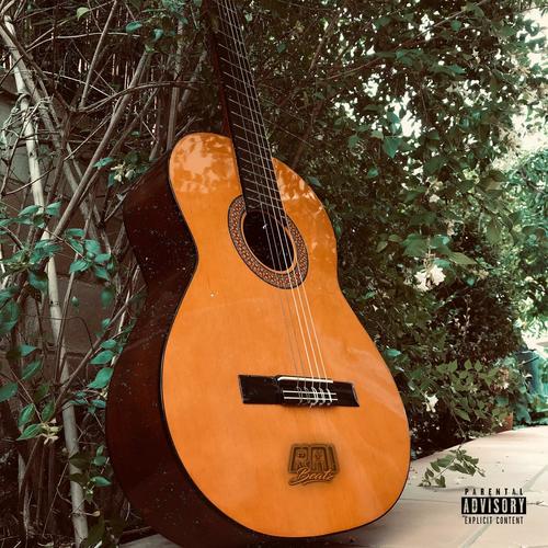 FLAMENCO Guitar