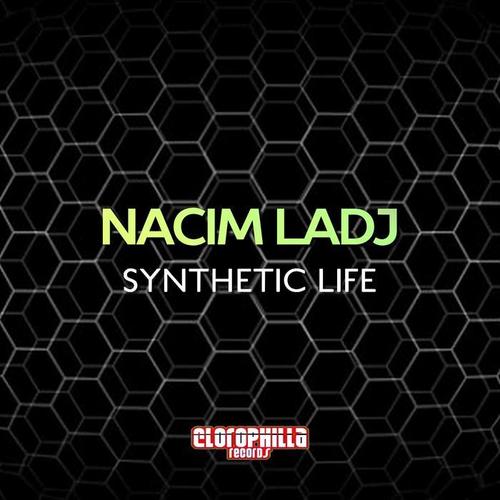 Synthetic Life