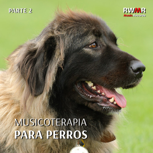 Musicoterapia para perros 2 - Sonidos calmantes para los oídos del perro para relajar a la mascota mientras está fuera, reducir la ansiedad y el estrés