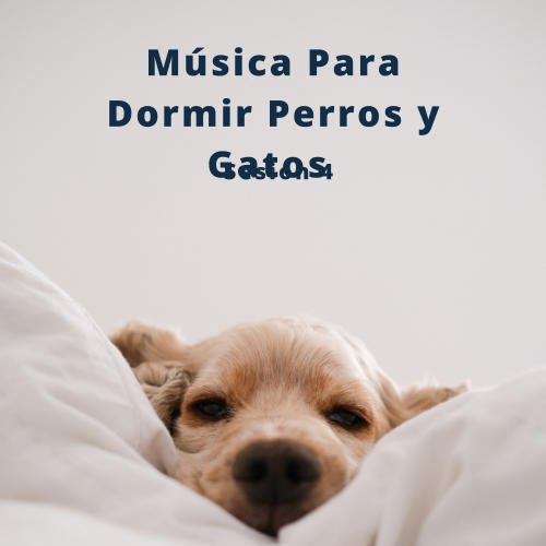 4 Patas, Música Para Dormir Perros y Gatos Sesión 4