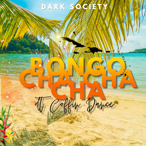 Bongo Cha Cha Cha (Bongo ChaChaCha)