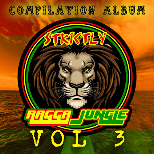 Strictly Ragga Jungle Compilation Album Vol 3 (Explicit)