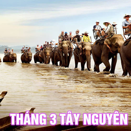 Tháng ba Tây Nguyên