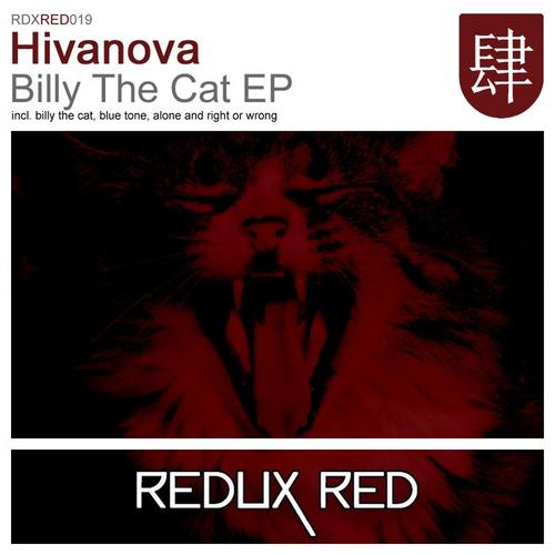 Billy The Cat