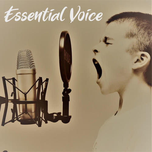 Essential Voice