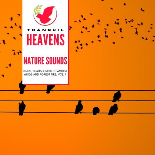 Nature Sounds - Birds, Toads, Crickets amidst Winds and Forest Fire, Vol. 7