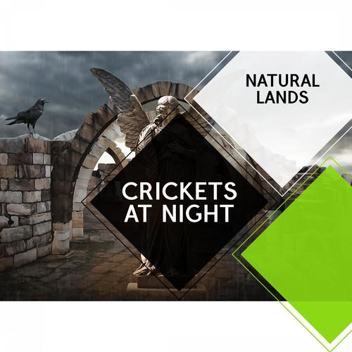 Crickets at Night - Natural Lands