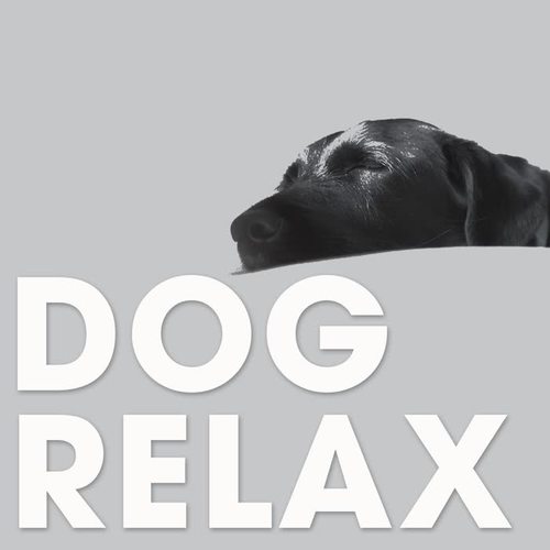 Dog Relax (The Classic Sunset Chillout Session Ambient Lounge)