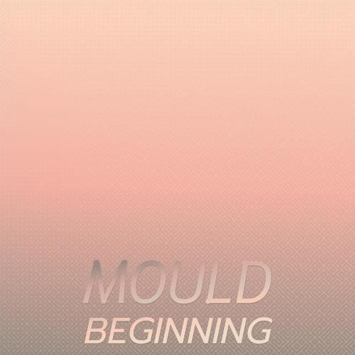 Mould Beginning