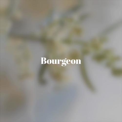 Bourgeon