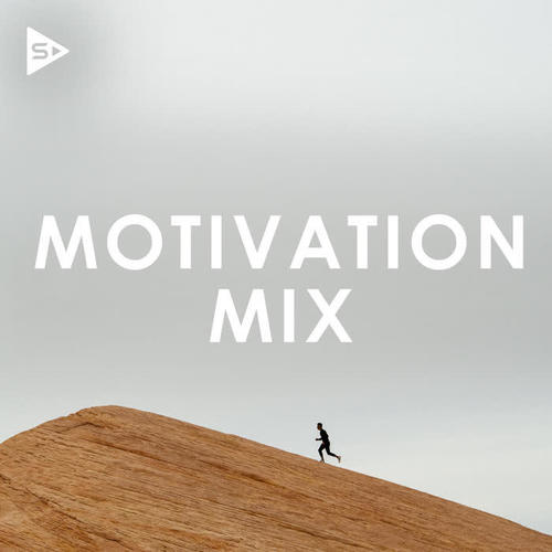 Motivation Mix