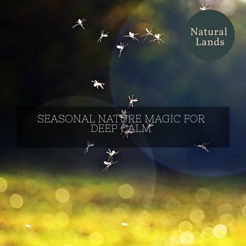 Seasonal Nature Magic for Deep Calm