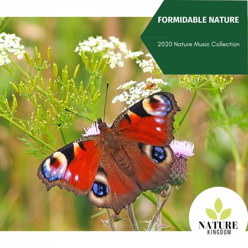 Formidable Nature - 2020 Nature Music Collection