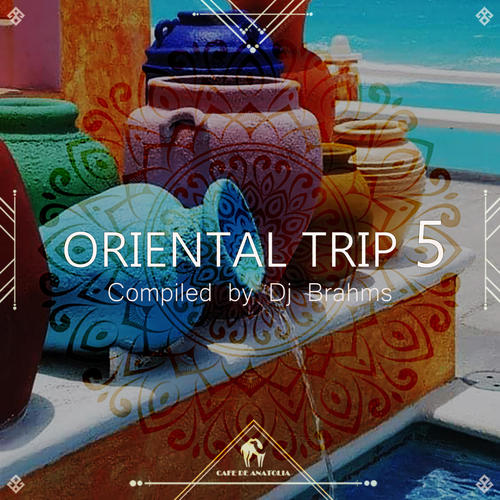 Oriental Trip, Vol. 5 (Compiled by Dj Brahms)