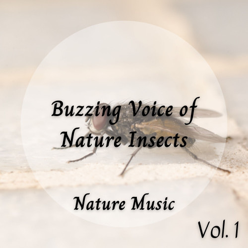 Nature Music: Buzzing Voice of Nature Insects Vol. 1