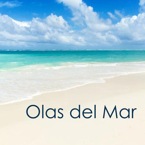 Olas del Mar - Sonidos de la Naturaleza para Relajarse