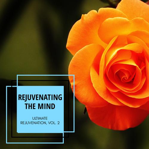 Rejuvenating The Mind - Ultimate Rejuvenation, Vol. 2