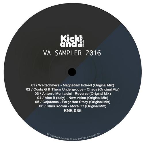 VA Sampler 2016