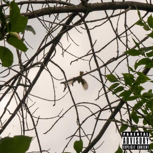 Freedom (Explicit)