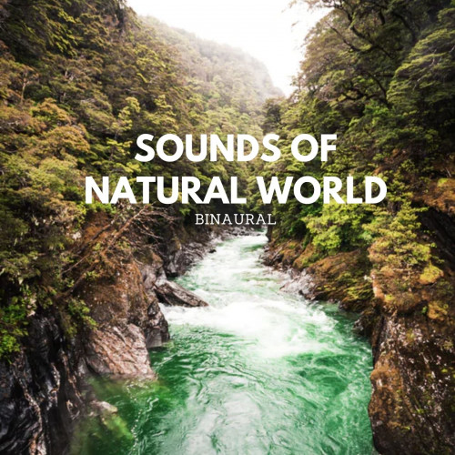 Binaural: Sounds of Natural World