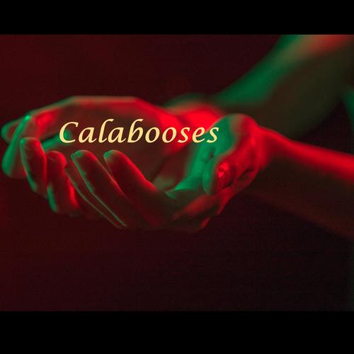 Calabooses