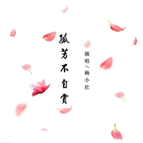 孤芳不自赏