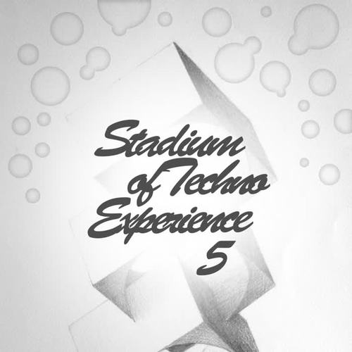 Stadium Of Techno Experience Vol.5